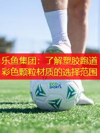 乐鱼集团：了解塑胶跑道彩色颗粒材质的选择范围