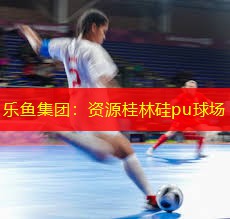 乐鱼集团：资源桂林硅pu球场