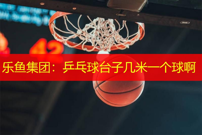 乐鱼集团：乒乓球台子几米一个球啊