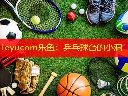 leyucom乐鱼：乒乓球台的小洞