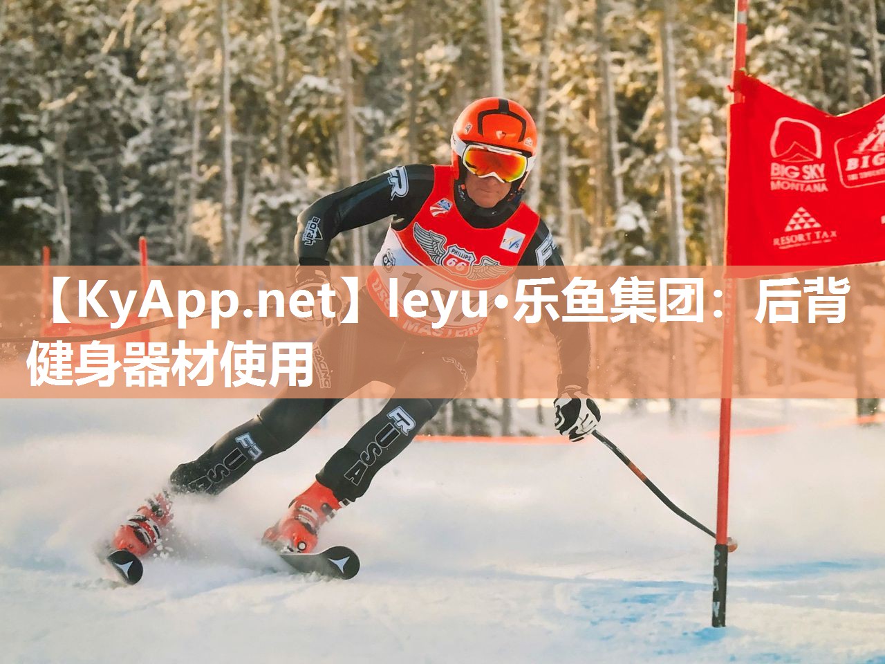 leyu·乐鱼集团：后背健身器材使用