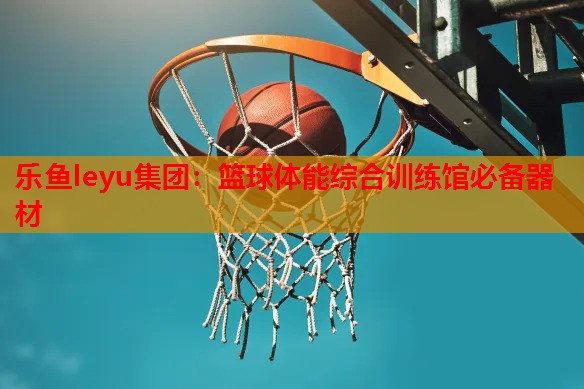 乐鱼leyu集团：篮球体能综合训练馆必备器材