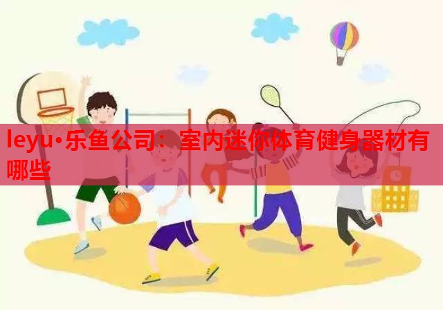 leyu·乐鱼公司：室内迷你体育健身器材有哪些