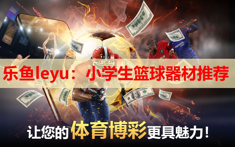 乐鱼leyu：小学生篮球器材推荐