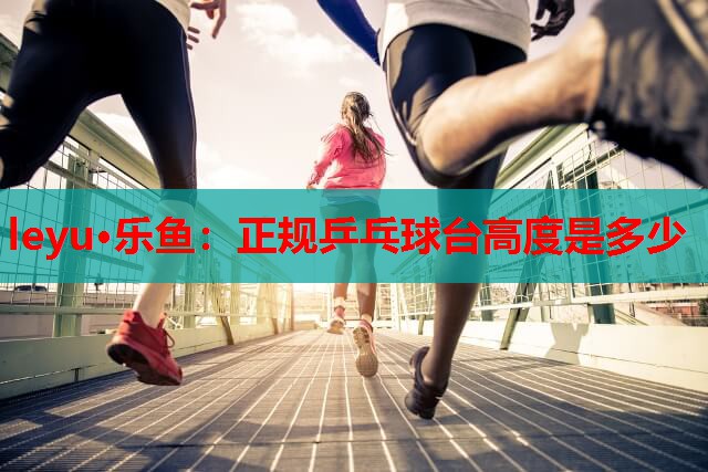 leyu·乐鱼：正规乒乓球台高度是多少