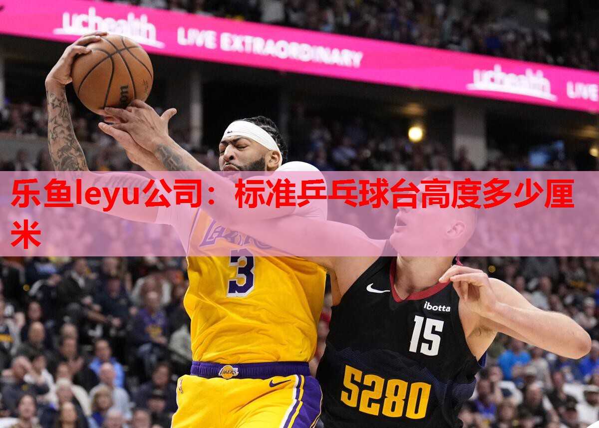 乐鱼leyu公司：标准乒乓球台高度多少厘米