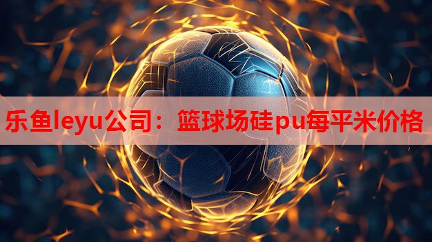 乐鱼leyu公司：篮球场硅pu每平米价格