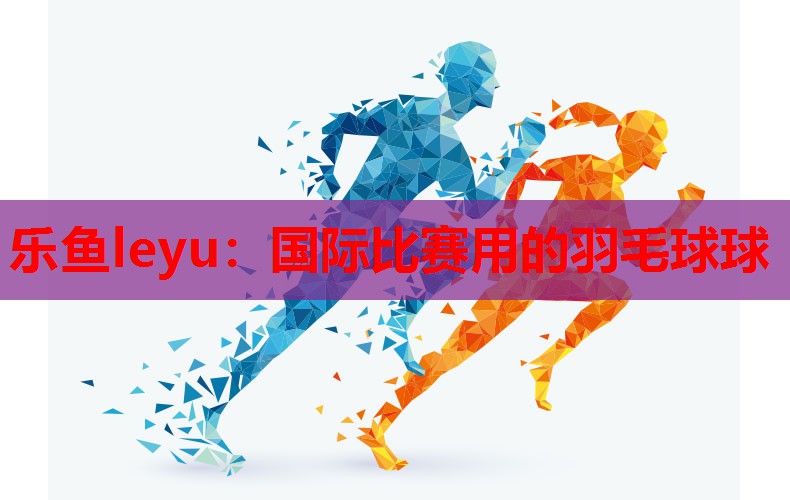 乐鱼leyu：国际比赛用的羽毛球球