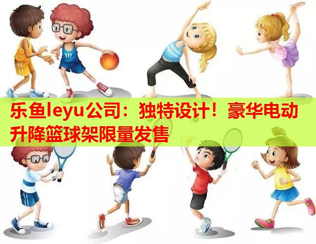 乐鱼leyu公司：独特设计！豪华电动升降篮球架限量发售