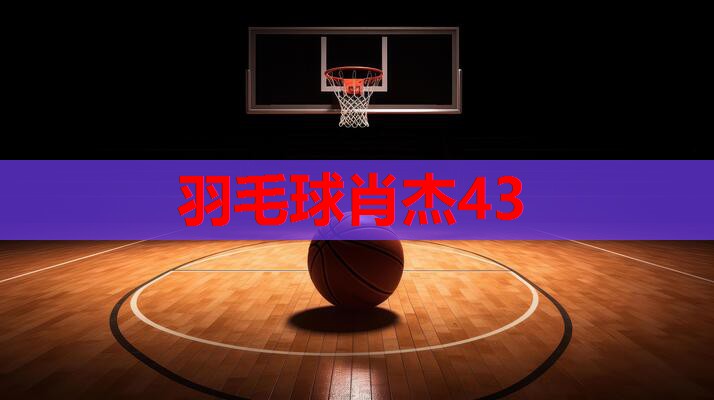 羽毛球肖杰43