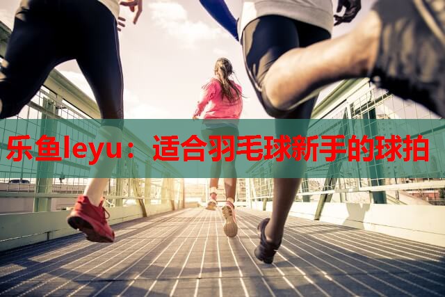 乐鱼leyu：适合羽毛球新手的球拍