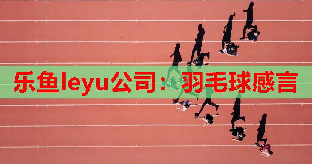 乐鱼leyu公司：羽毛球感言