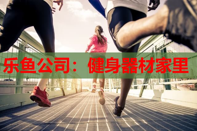 乐鱼公司：健身器材家里