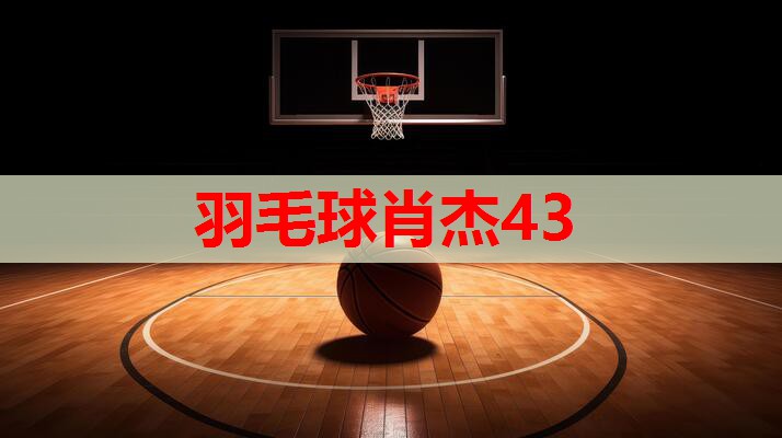 羽毛球肖杰43