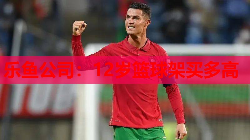 12岁篮球架买多高 12岁篮球架买多高