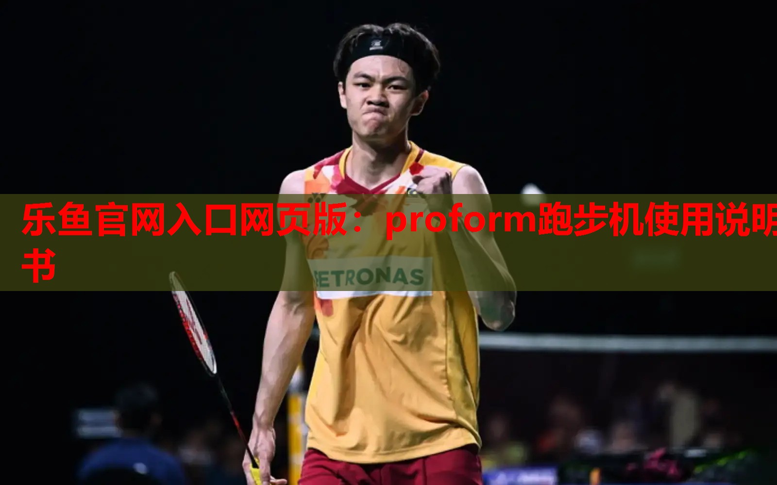 proform跑步机使用说明书 proform跑步机使用说明书